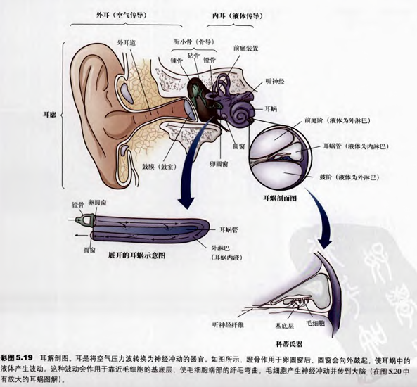 声音密度是什么意思 v2-9f05ef689c100fddfda92291884acb45_r.jpg
