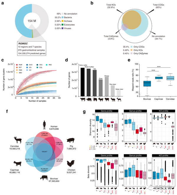 凌恩客户文章|《Microbiome》:宏基因组构建反刍动物全消化道超1万个MAGs新进展 - 知乎