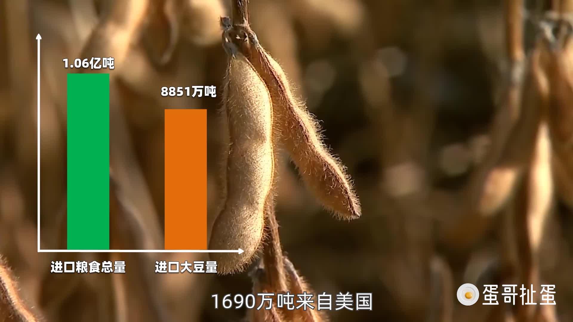 发布于 昨天 10:48 · 185 次播放大豆转基因大豆中美关系60经济