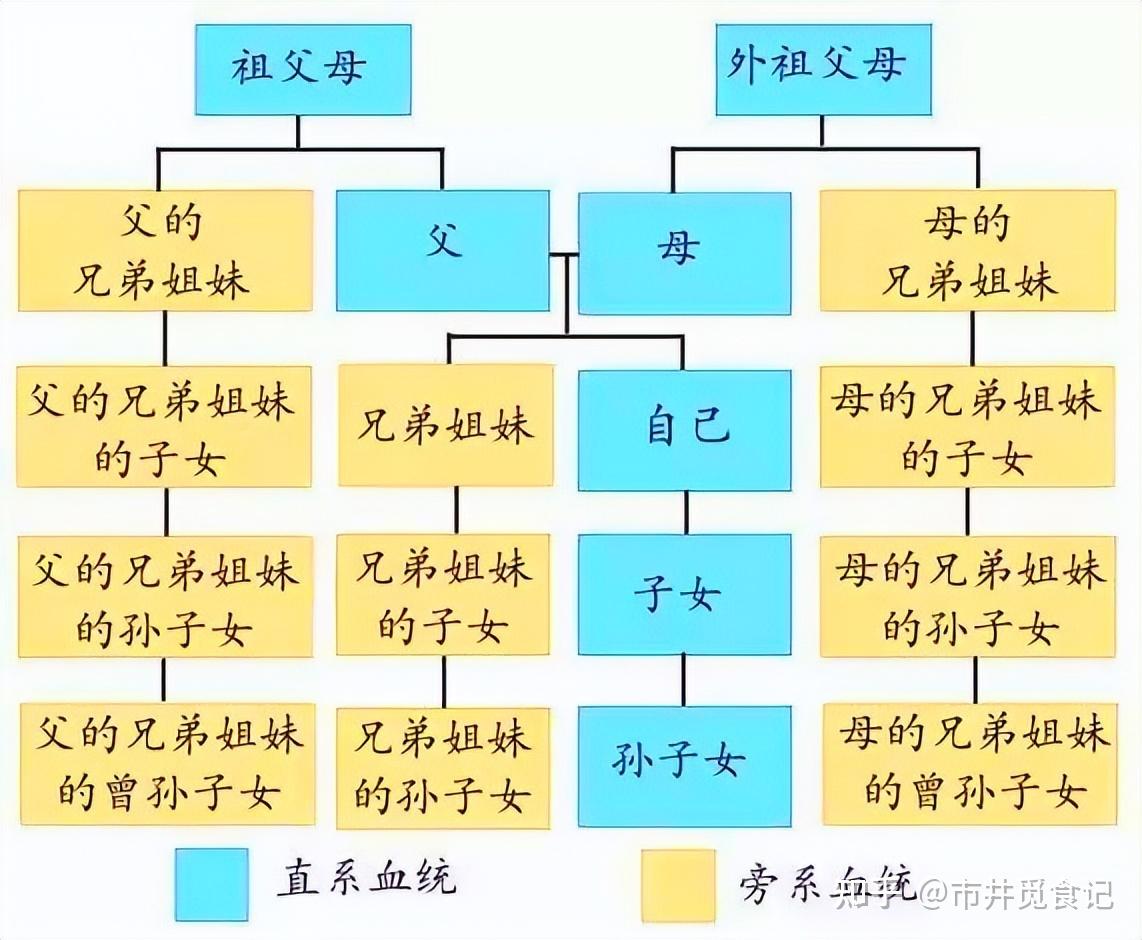 啥是"旁系三代血亲"?烟草局应聘时要了解清楚