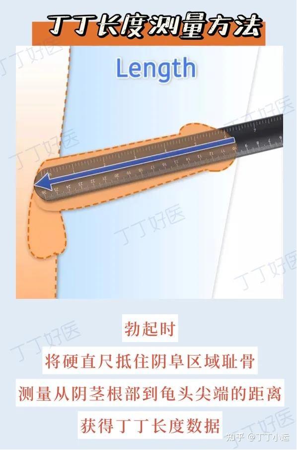 男性丁丁多长算正常？ - 知乎