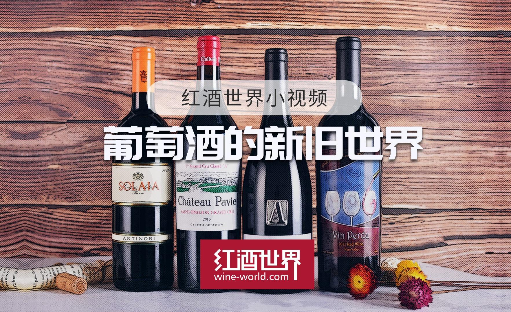 新旧世界的葡萄酒有什么区别_云仓酒庄资讯站