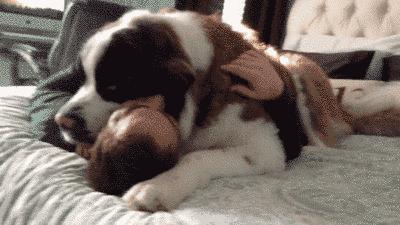 "不要,我要躺在你怀里.""起来,你很重诶."07.我不孤单.