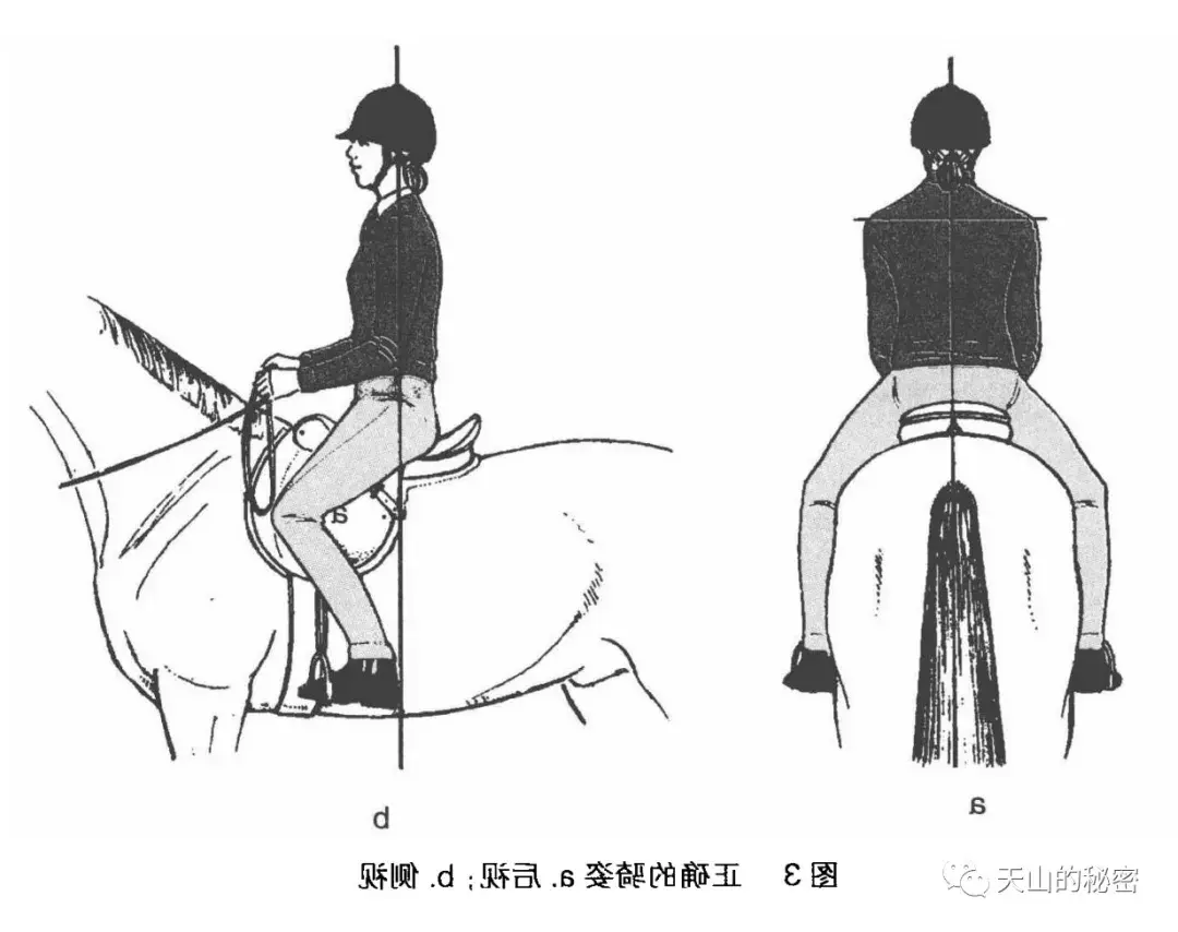 骑马正确的坐姿是怎样的