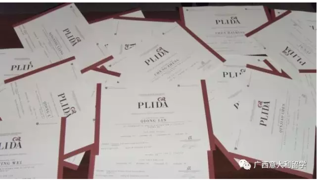 我是大三的学生数字媒体艺术专业的,想去意大