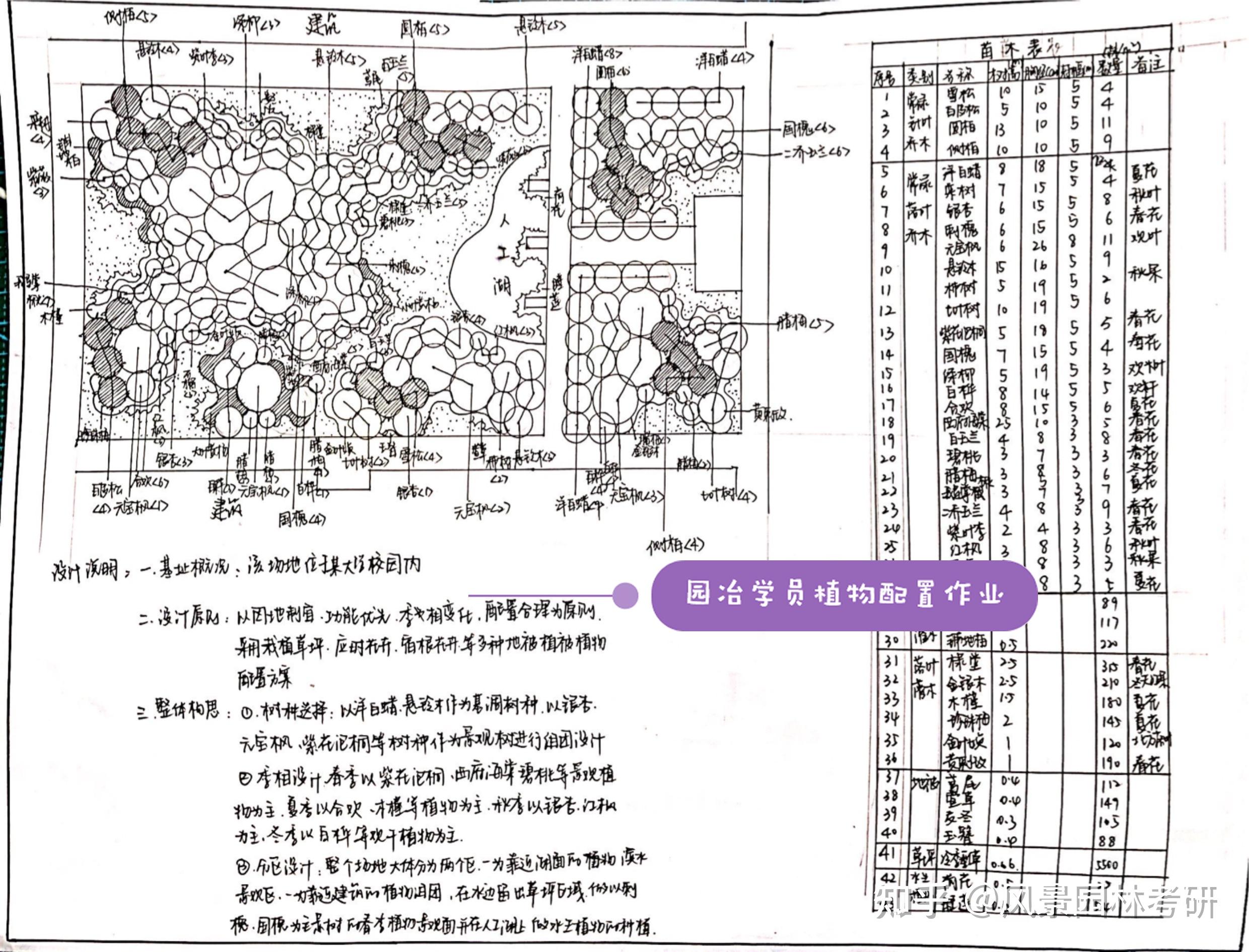 园林植物配置表手绘图图片