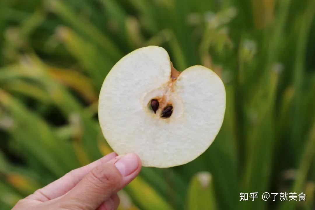 这颗梨子,让国人等了它47年!滴滴蜜露,皮薄肉嫩,吃一口记一生! - 知乎