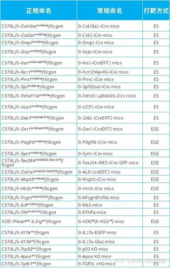 Cre-loxP重组酶系统简要解读 - 知乎