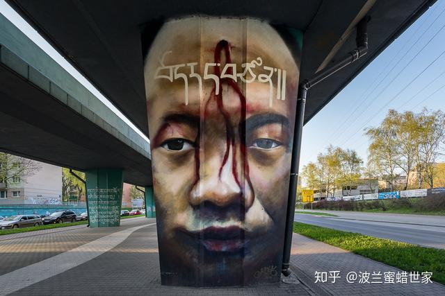 反应了饱受压迫的zz同胞,如何在民主专政的铁拳下瑟瑟发抖这些涂鸦