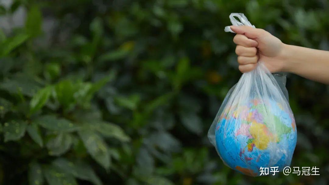 吸附了有机污染物的微塑料被海洋生物吃掉,在生物酶作用下,微塑料会