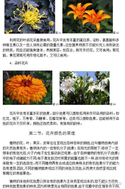 植物染技法之 沾花惹草花卉染 初稿完成 知乎