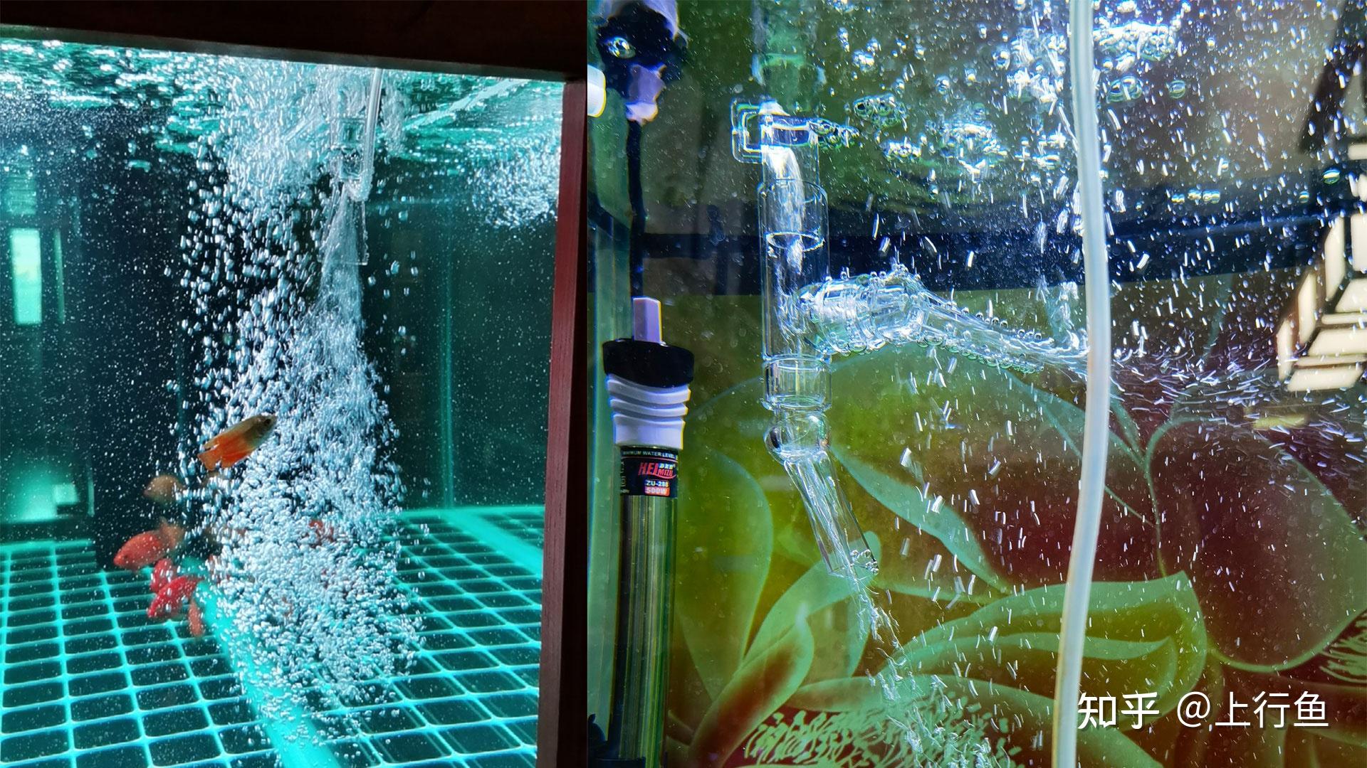 自制鱼缸增氧气泵 创意手工制作简易电动气泵教学电机改造气泵_哔哩哔哩_bilibili