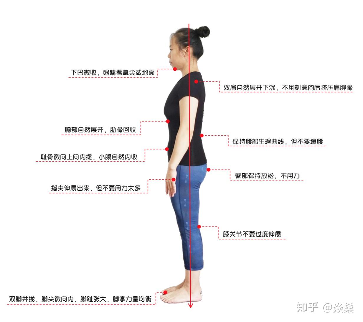瑜伽教练小课堂:第14期 鸟王式garudasana
