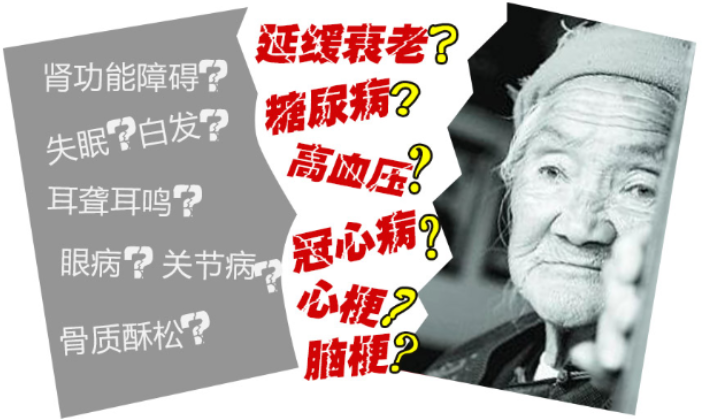 衰老与疾病的关系