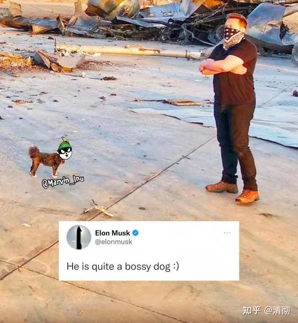 Marvin 2022 SHIB marvin-2022-shib