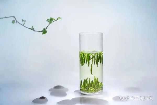 绿之韵好茶上市|舌尖上的鲜美滋味——三十九铺安化松针 - 知乎