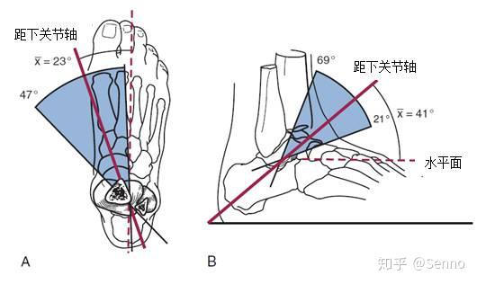 足踝生物力学6s中心图片