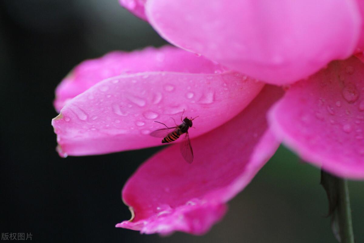 秋雨涟涟,一年一年又一年