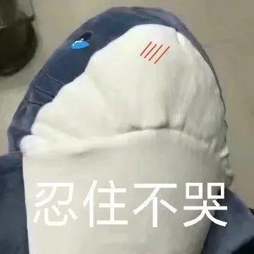 135张笑到不行表情包 - 知乎