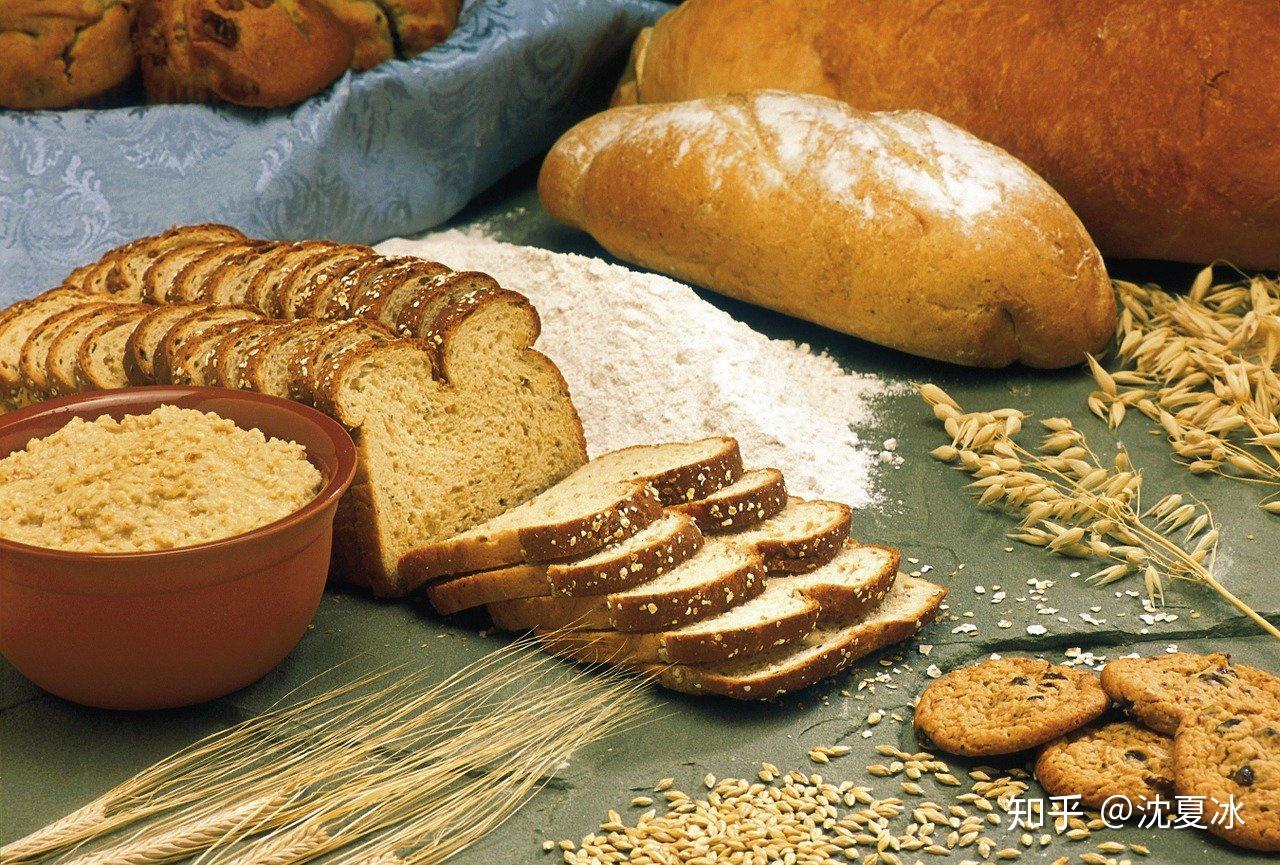 想学面包，先认识小麦的结构 - 知乎