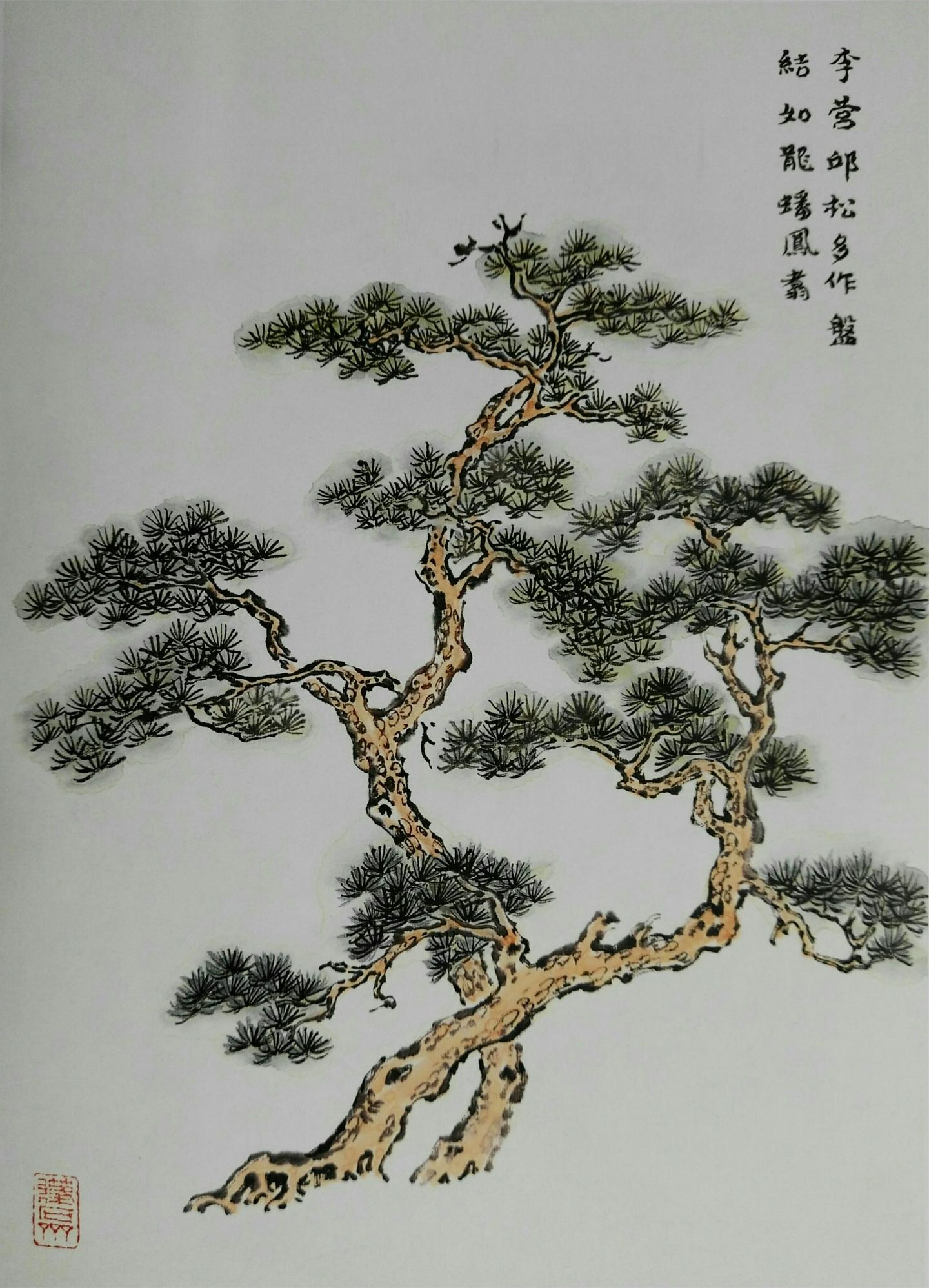 画松树为什么要学金文这样题写落款你会吗视频作品