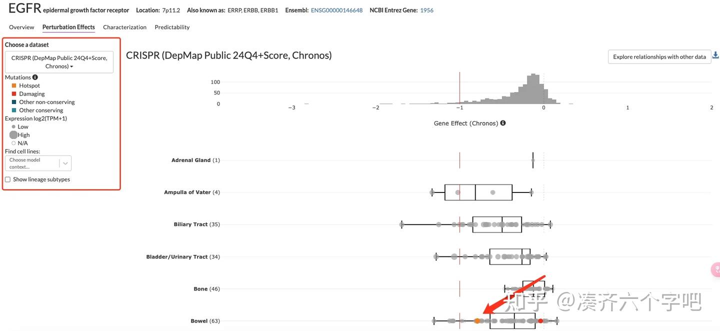 Dependency Map(DepMap)数据库学习 - 知乎