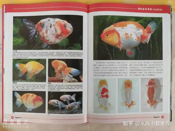 水族书籍推荐之 缤纷金鱼事典 知乎