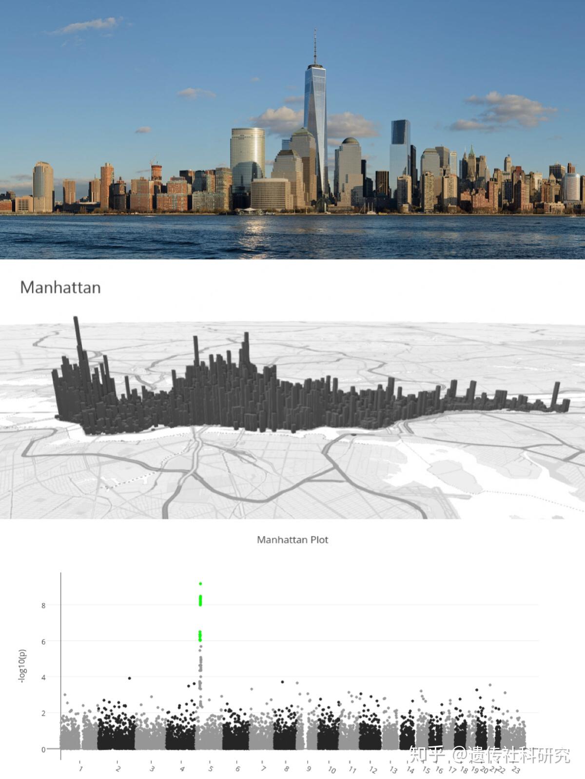 【研究方法】GWAS如何用于筛选复杂社会经