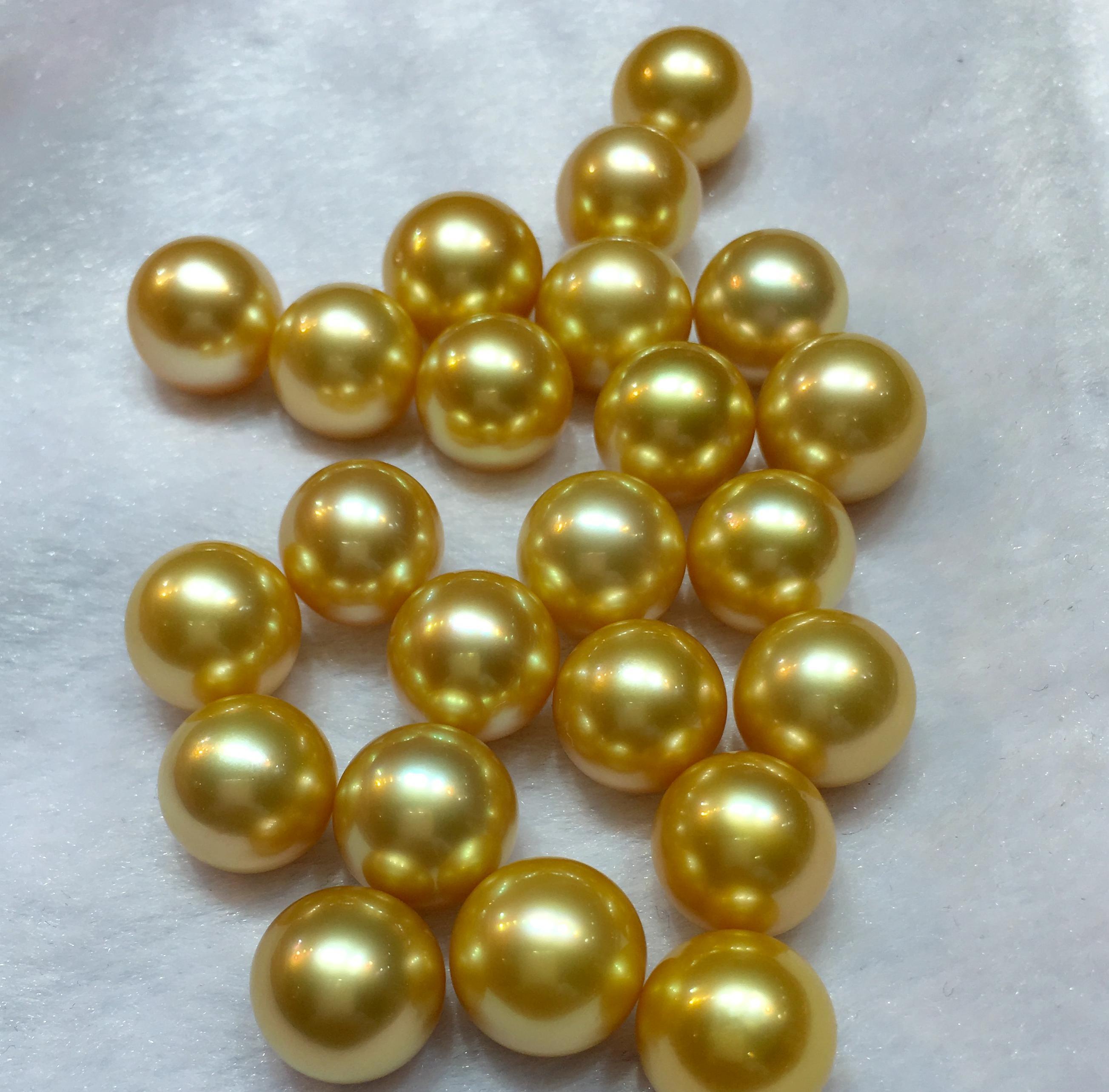 南洋金珠属于有核养殖珍珠,其母贝为金唇贝或白唇贝,由于其母贝体积