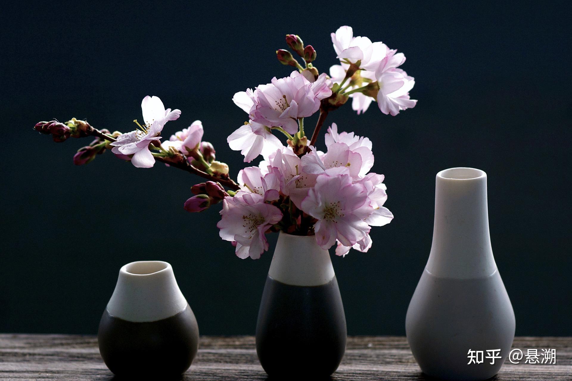 鲜花爱上花樽,多风趣 - 知乎