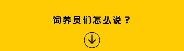 鵝噗測評丨打麻將也有禁忌四人歸西的傳說你必須知道