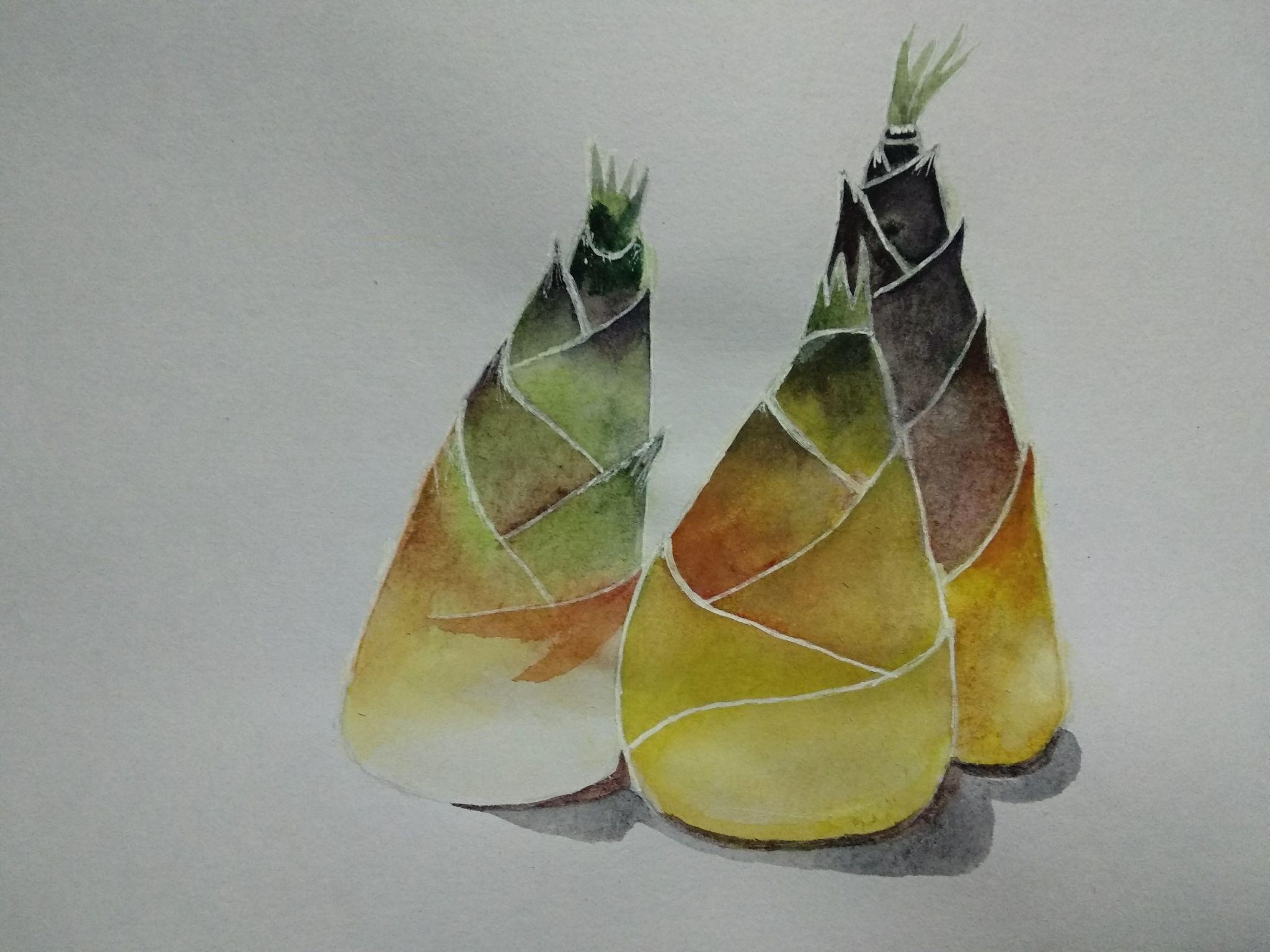 零基础学习水彩画