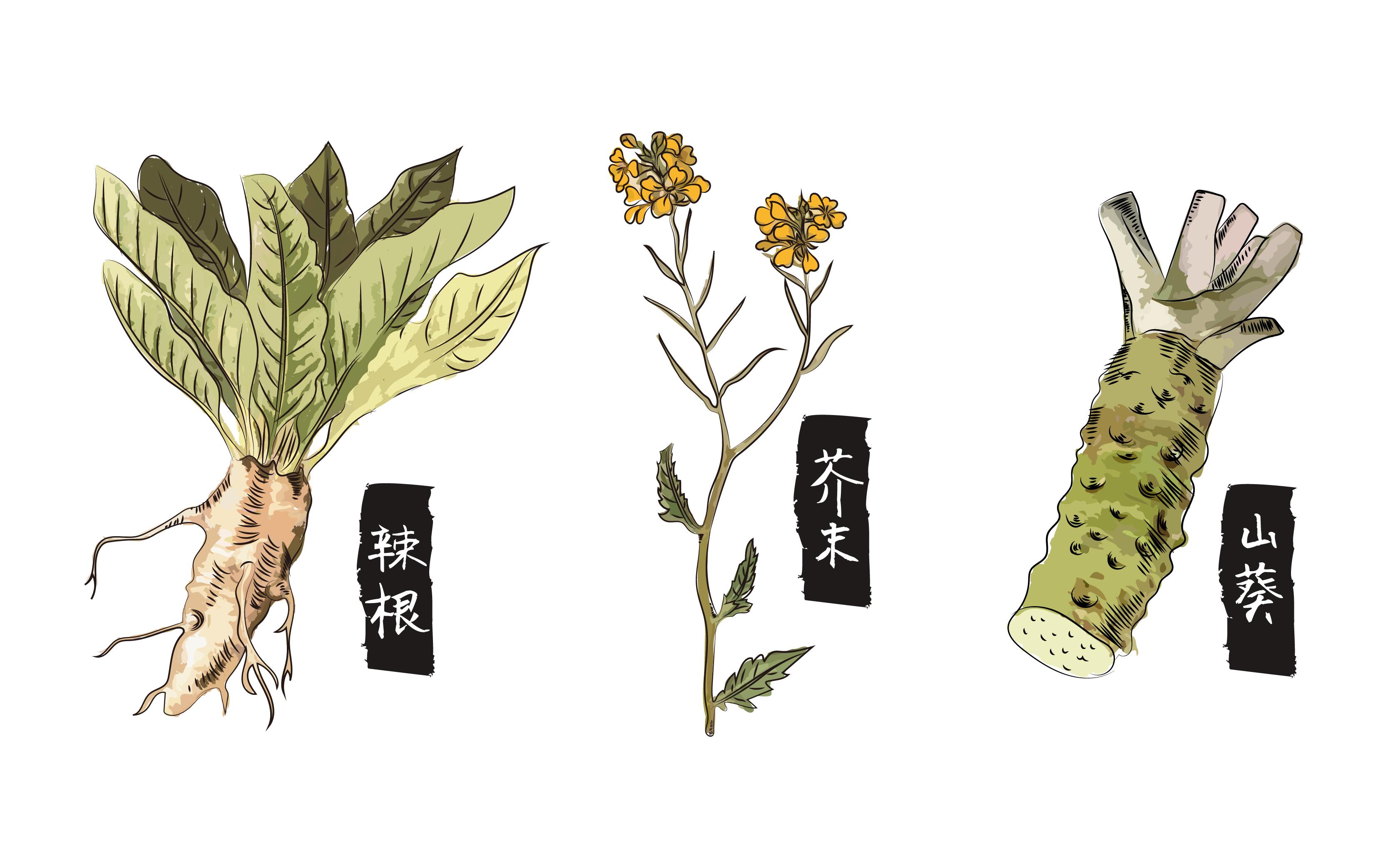 因为山葵需要在清澈的水中才能生长,熟成期在3到5年之间,日料红了之后