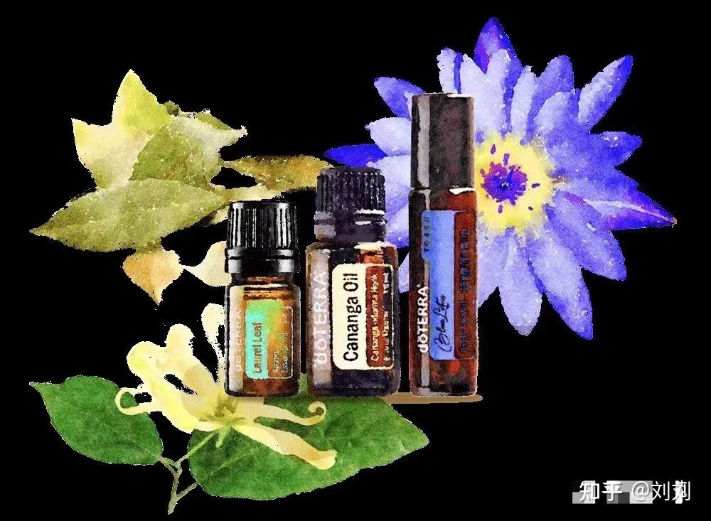 灵性精神滋补品蓝睡莲精油