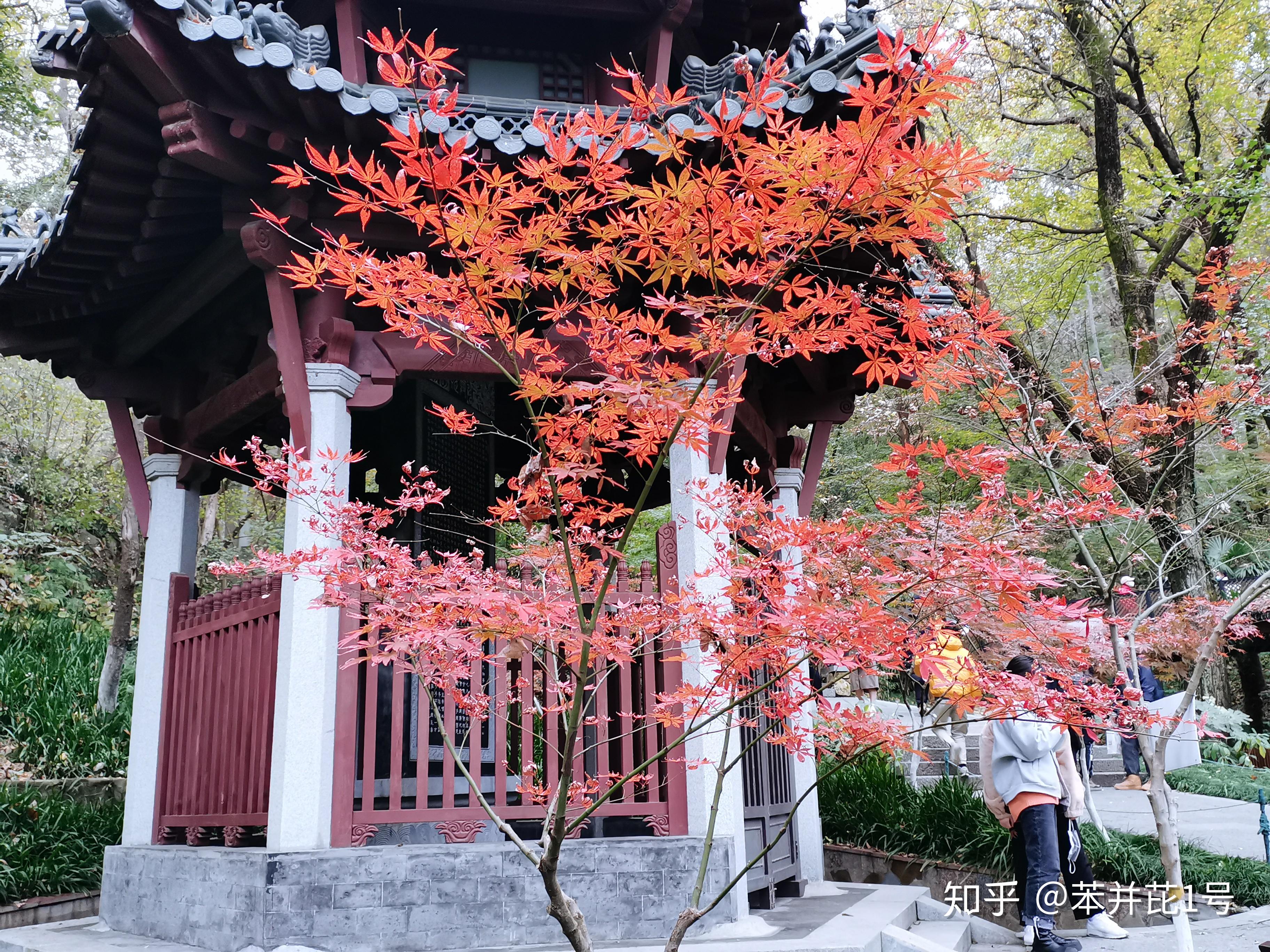 南京遊玩丨棲霞山