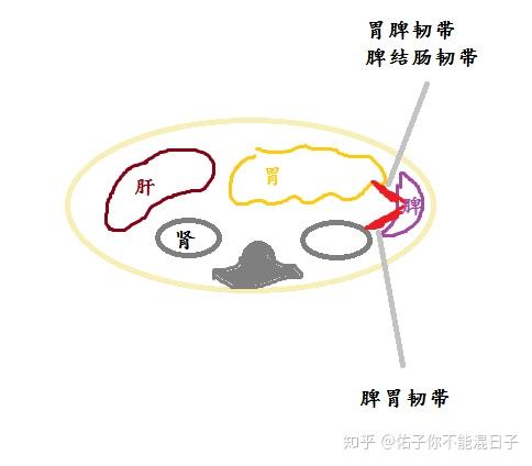 四,隐窝肝肾隐窝盲肠后隐窝乙状结肠上隐窝乙状结肠下隐窝阑尾上隐窝