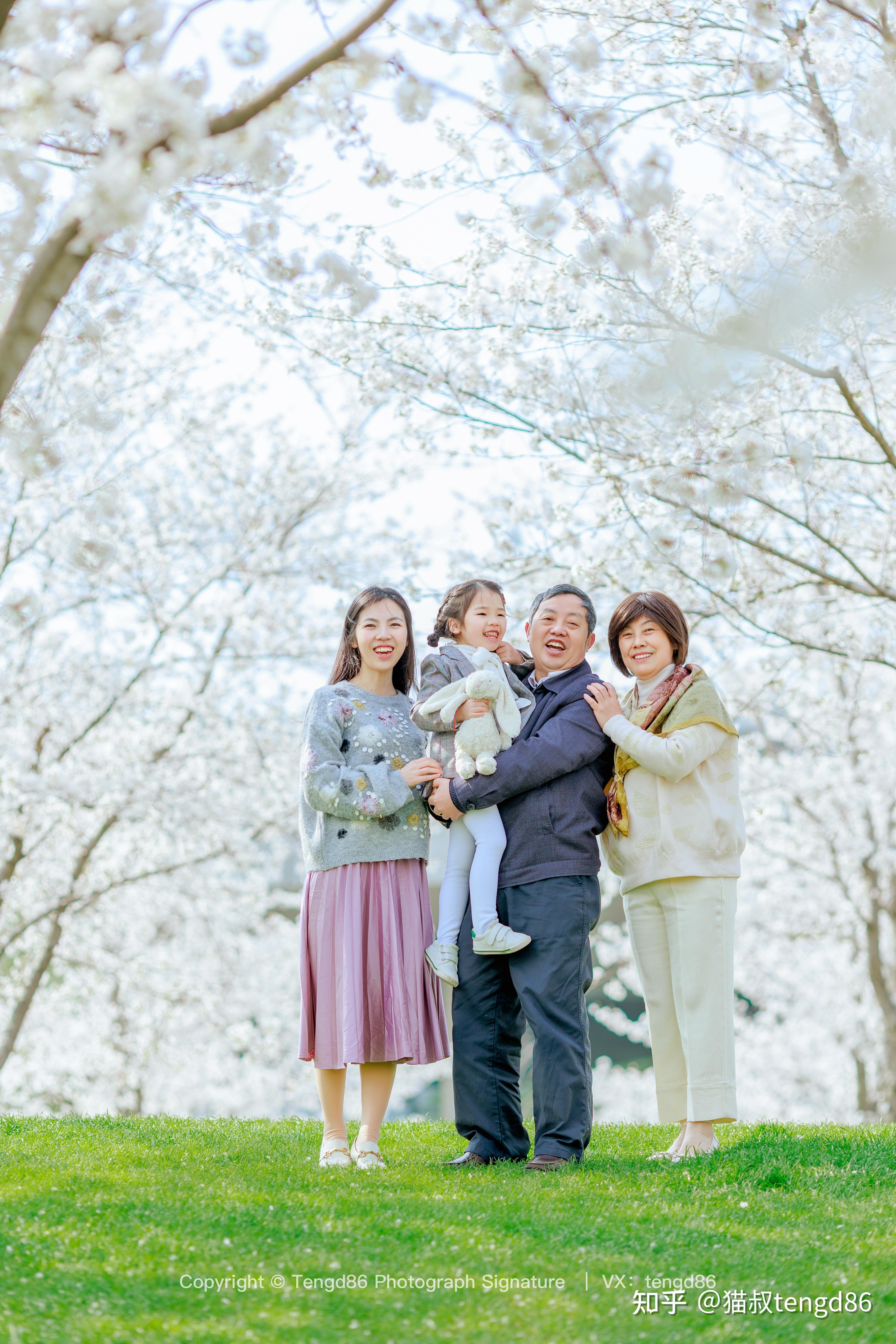 染井吉野樱 #樱花 #中樱 #白色樱花 #东京樱花 #亲子写真 #儿童写真