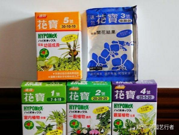 家养盆栽正确施肥 才能 叶茂 花繁 果硕 知乎