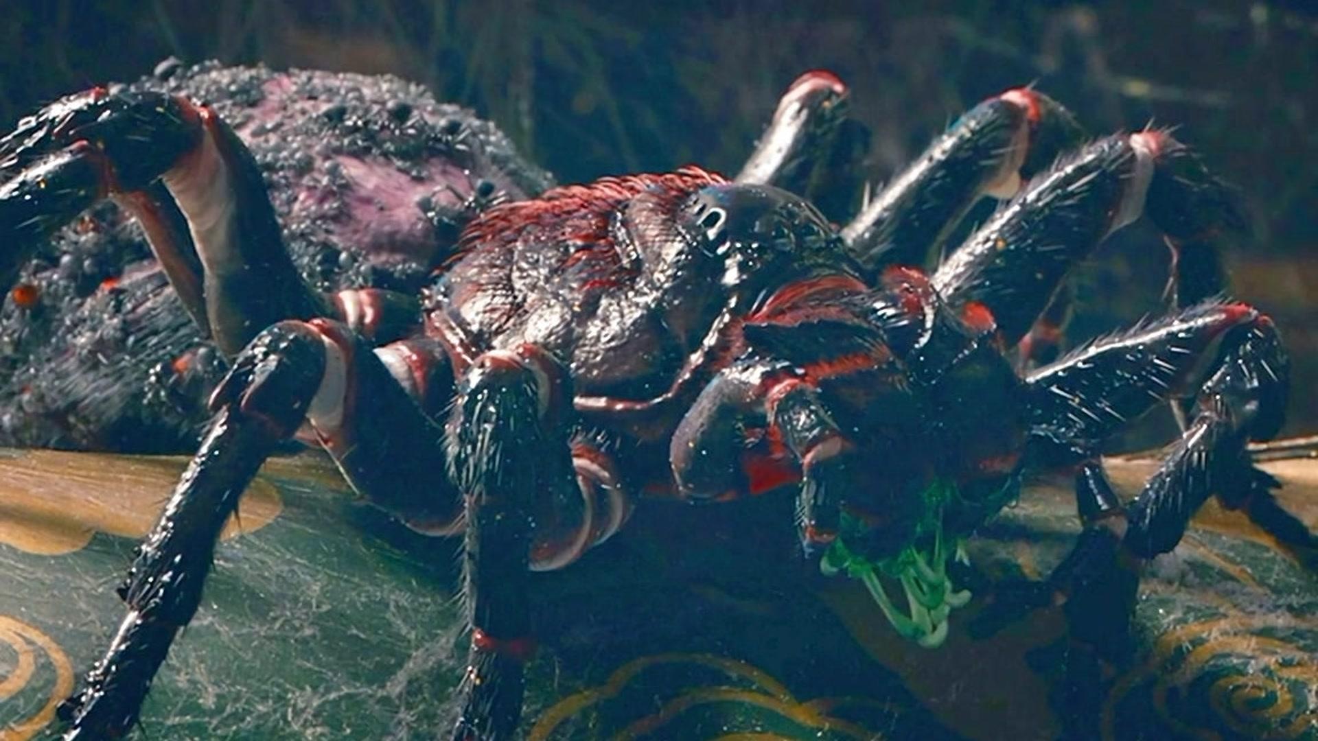 博士进行秘密实验不料导致蜘蛛变异满大街都是大象大的蜘蛛