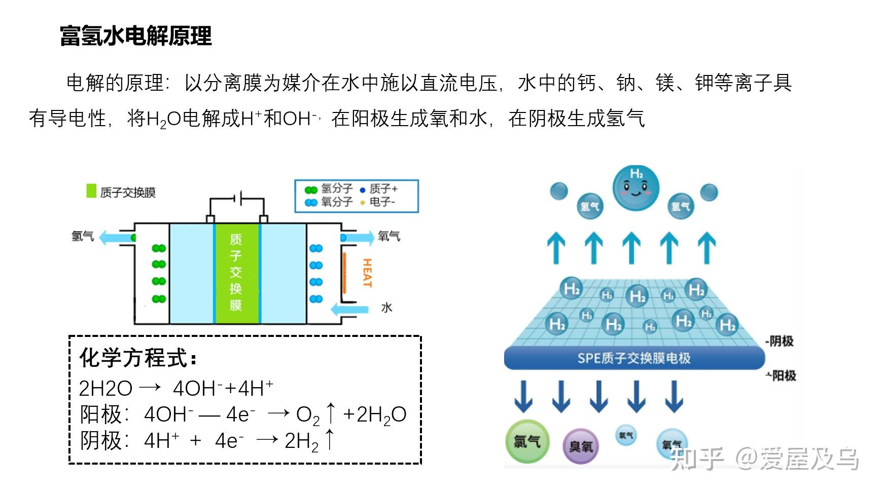 科普篇|富氢水机有用吗