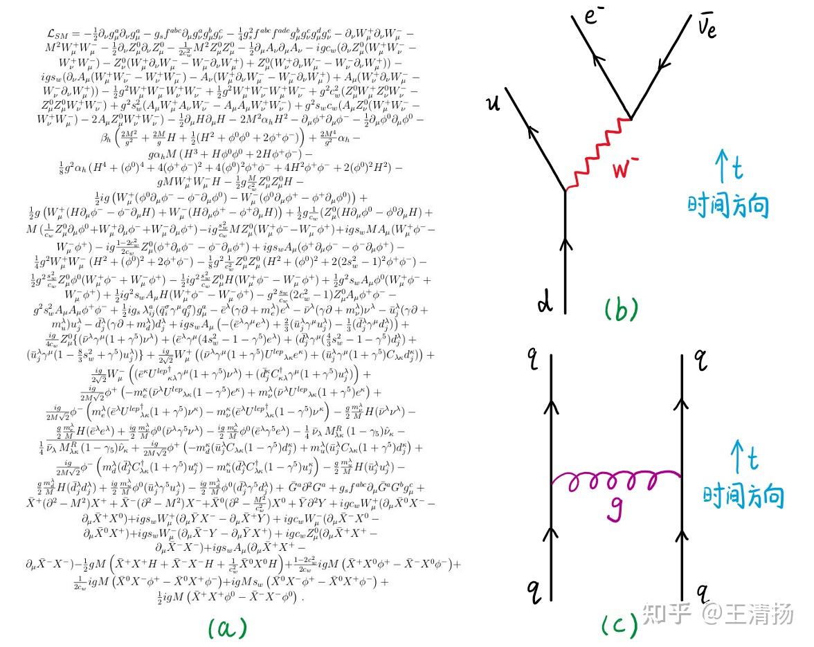 1.3 强相互作用与弱相互作用 - 知乎