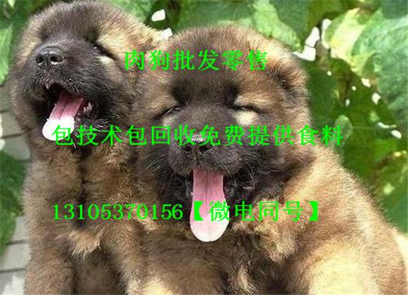 v2-a090a468f00bf13644ae878b9a214914_1440w.jpg?source=172ae18b