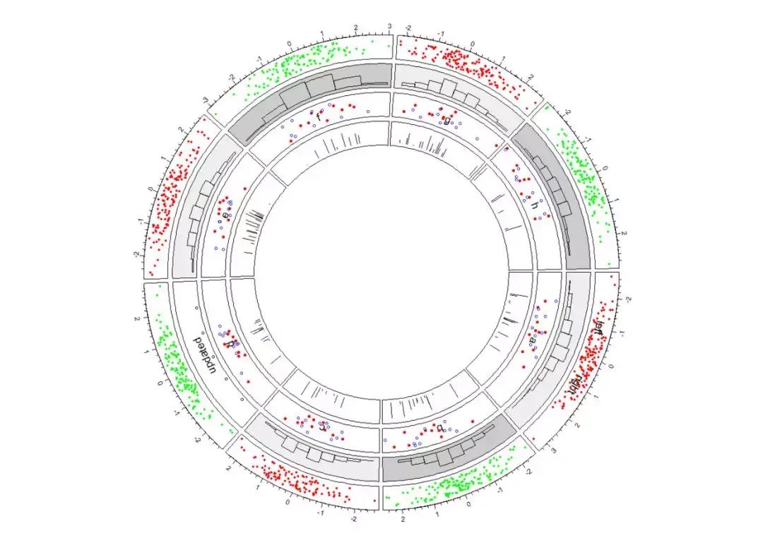 用circlize包绘制circos-plot - 知乎