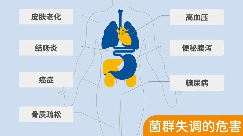 菌群失调问题不"少"!