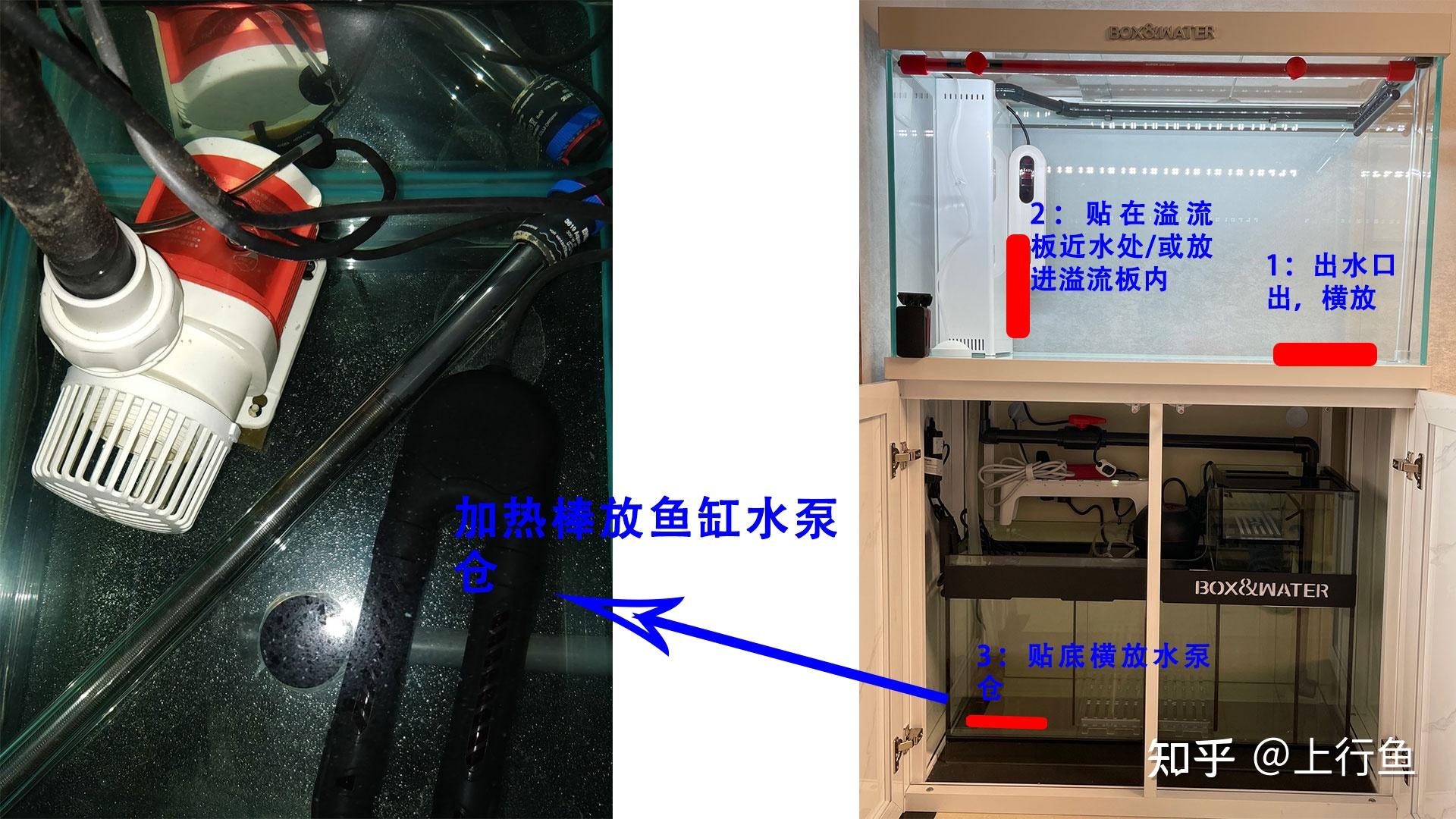 鱼缸加热棒的正确摆放图片