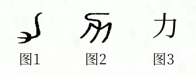 说文解字"筋也,象人筋之形.治功曰力,能圉大灾.凡力之属皆从力.