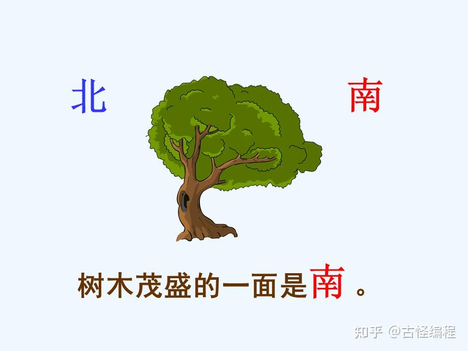 树叶辨别方向图片