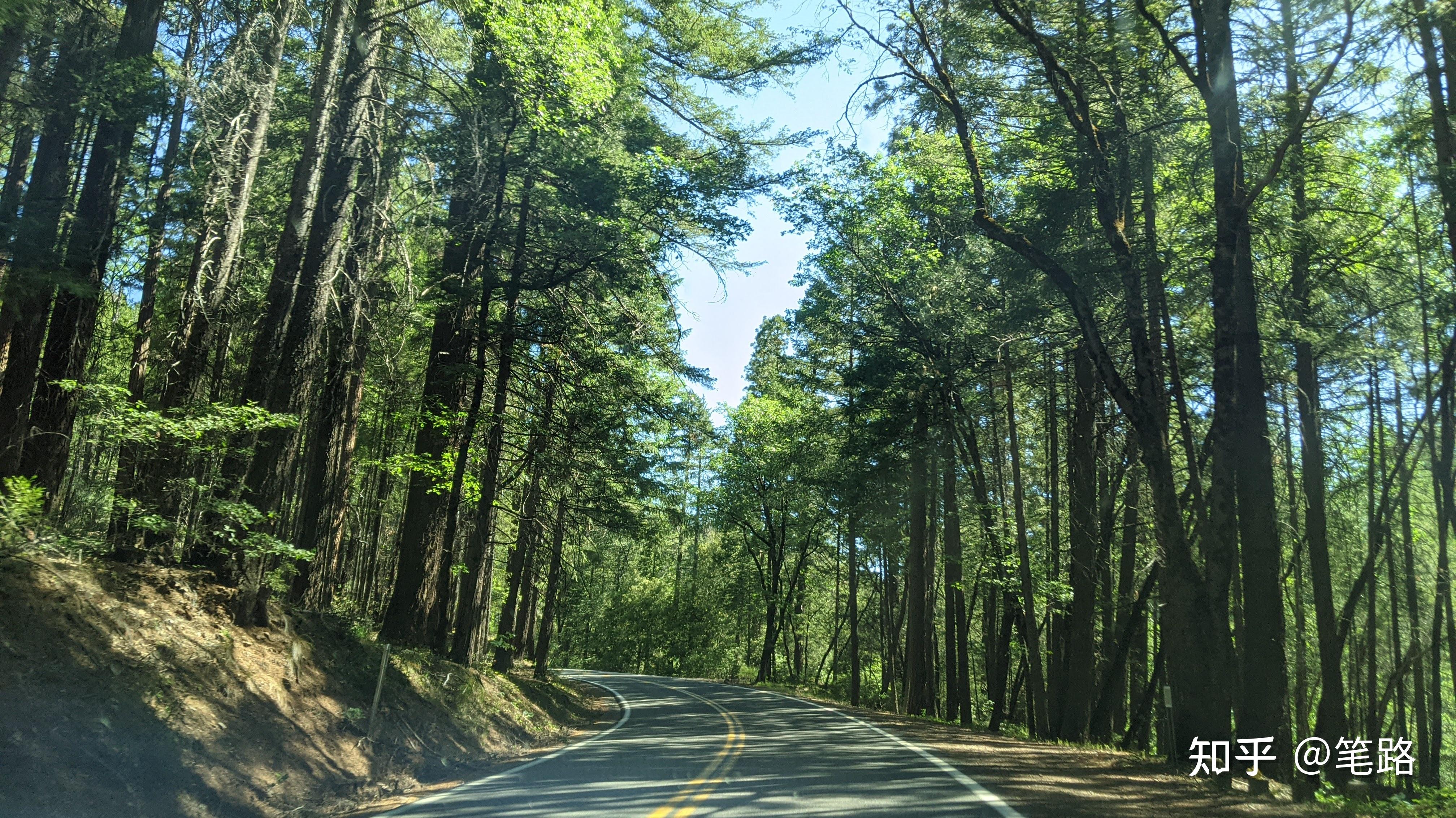 寻火山玩雪去美国国家公园篇