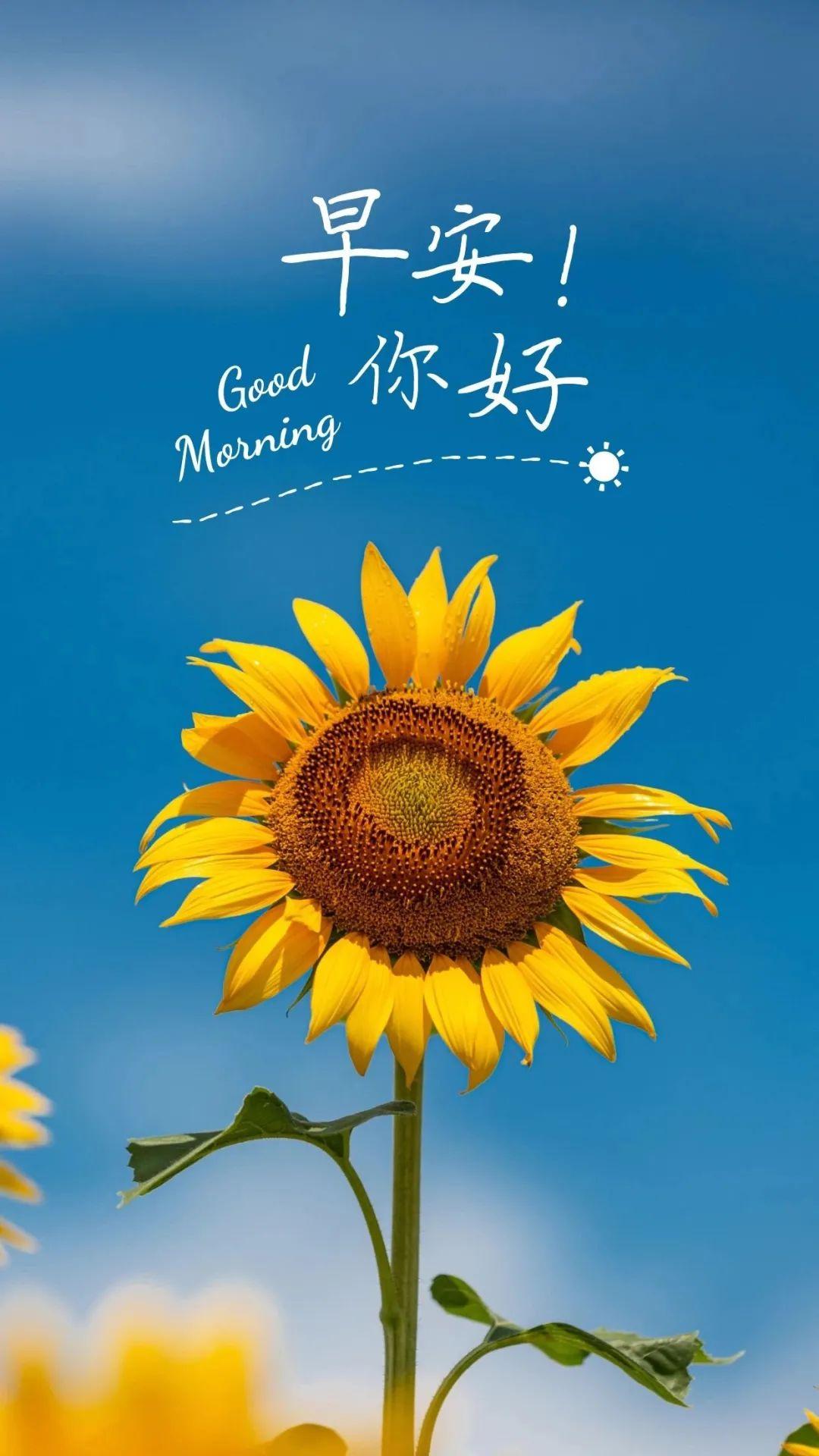 11月4日早安心语正能量简短句子语录 精选早上好图片带字正能量