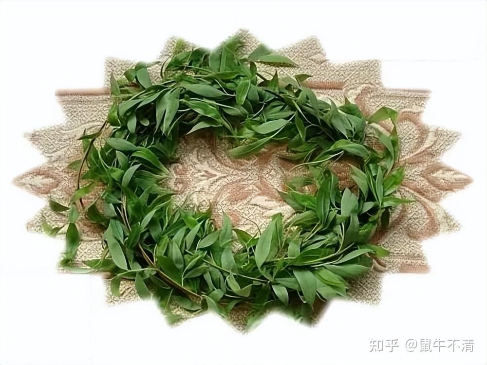 我记得大人们都在疯狂的折柳,然后剥皮编筐,柳枝成为了那时挣钱的工具